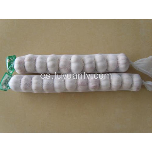 jinxiang nueva cosecha ajo blanco normal